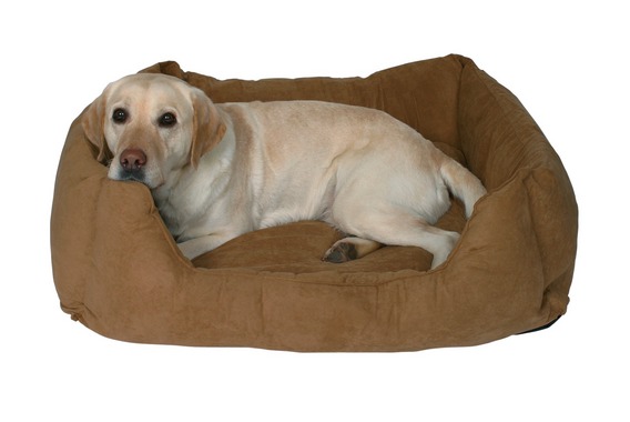 dogs bed (5) (568x380, 31Kb)