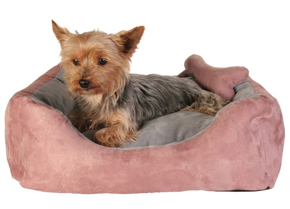 dogs bed (568x410, 46Kb)