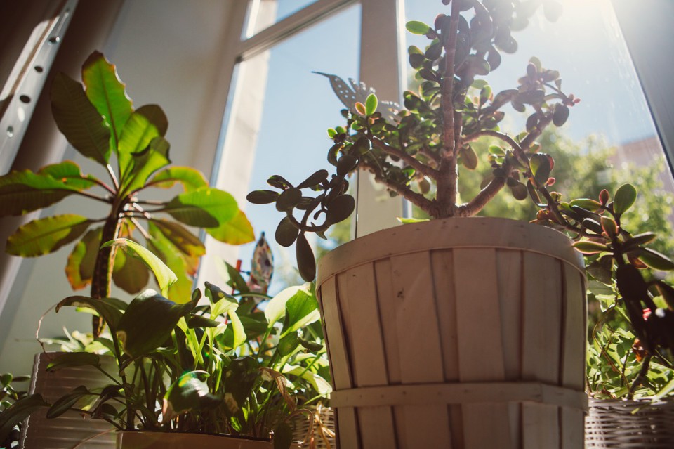 Место для важного | Цикл встреч Анны Черных