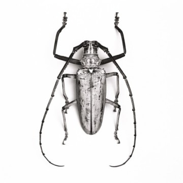 BatoceraHercules-500x500