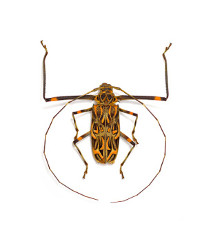 0000000000000000000000000000000