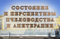 конференция