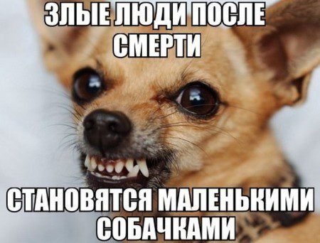 1423041433_kartinki-22