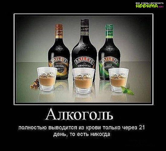 1315352608_demotivatory_pro_alkogol_1