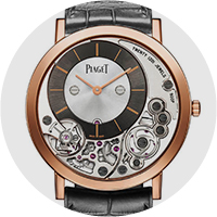 Piaget на SIHH-2014