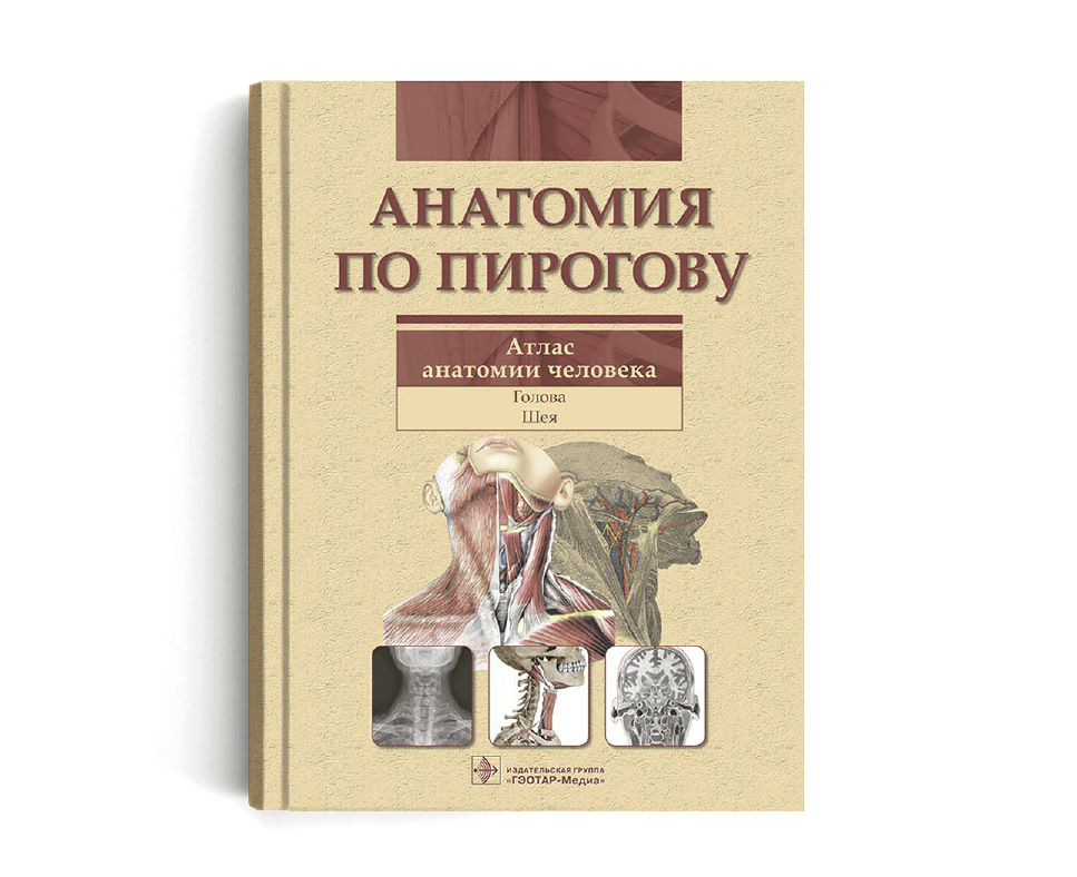 анатомия_opt