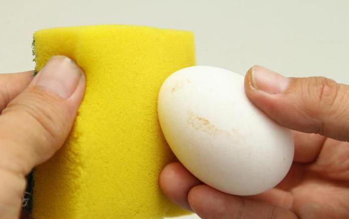 инструкция по обработке яиц