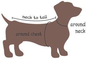 Схема свитера для собаки