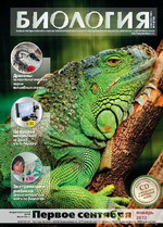 уВЕЛИЧЕНИЕ