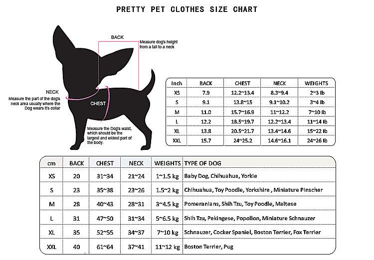 Сколько должен весить той. Размер чихуахуа стандарт. Размерная сетка для собак мелких пород чихуахуа. Чихуахуа собака мини-стандарт Размеры. Чихуахуа Размеры взрослой собаки.