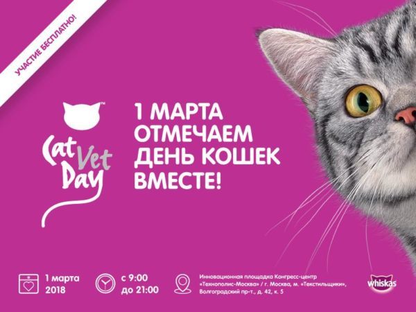 1 марта в День кошек в Москве состоится ветеринарная конференция Cat Vet Day