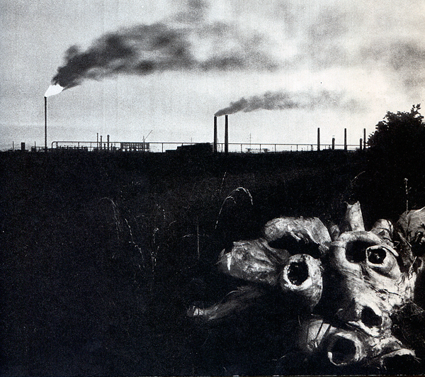 Миро Грегор