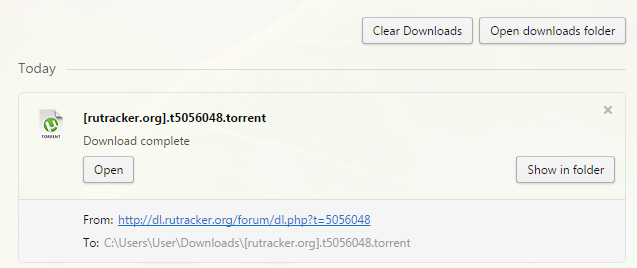 Раздел с информацией о скачанных на компьютер данных Раздел с информацией о скачанных на компьютер данных