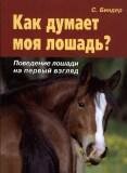 Как думает моя лошадь