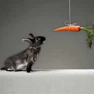 Вы – мотивированный работник?