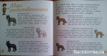 Страницы журнала Животные Леса