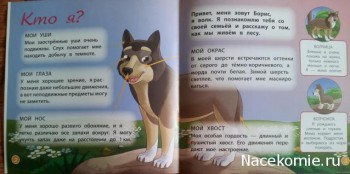 Страницы журнала