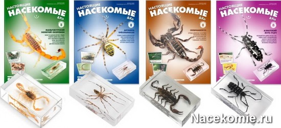 Первые выпуски коллекции Первые выпуски коллекции