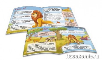 Страницы журнала