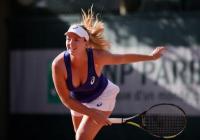 Коко Вандевеге – Андреа Петкович, Кубок Федераций