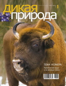 Белорусский журнал «Дикая природа»