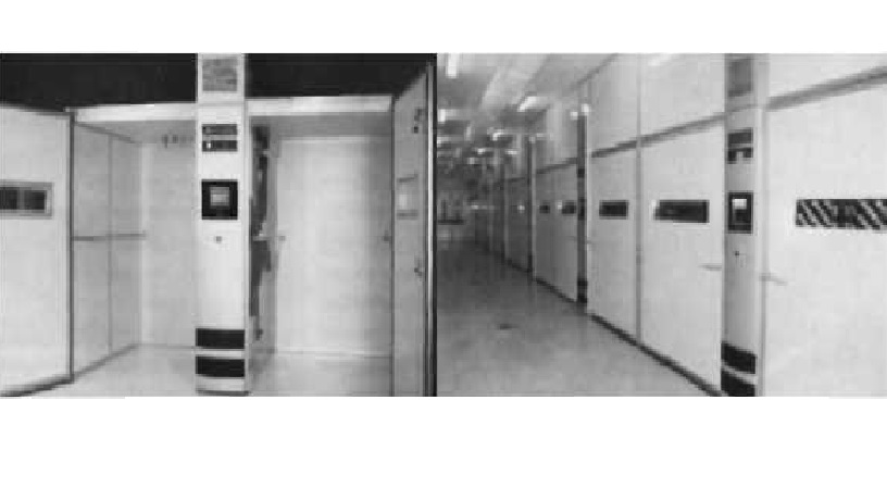 инкубация яиц