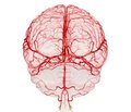 Correlation of Mortality of Patients in Acute Cerebrovascular Accident with Laboratory and Functional Parameters