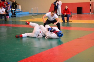 «Рукопашники» померились силой «Рукопашники» померились силой