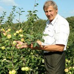 Карликовый сад