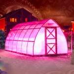 фото теплица стрелка зимой