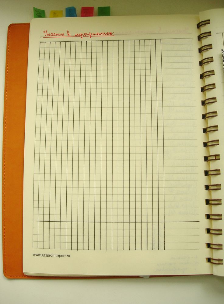 ежедневник для учителя, ежедневник