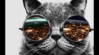 Взлом электронного дневника МРКО...