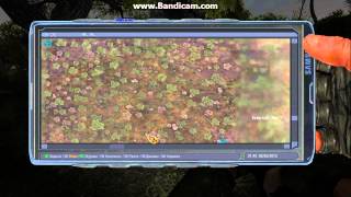 S.T.A.L.K.E.R. народная солянка. Задание: принести вороньи яйца повару