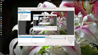 Ubuntu 17.10: OBS - Open Broadcaster Software