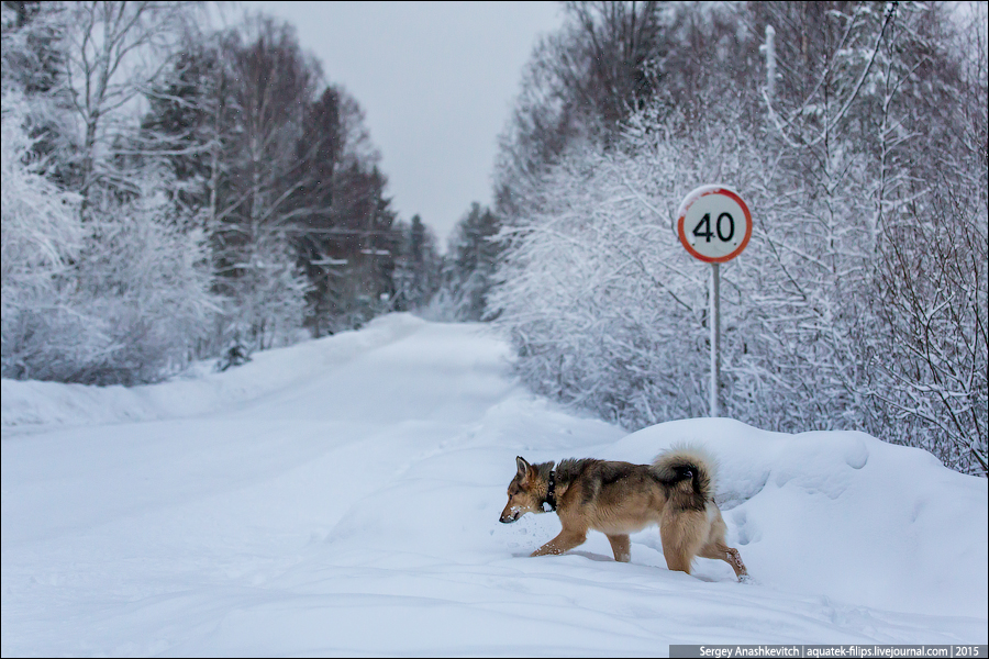 Зимняя Карелия Зимняя Карелия