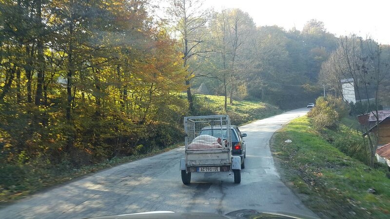 путешествие по Сербии