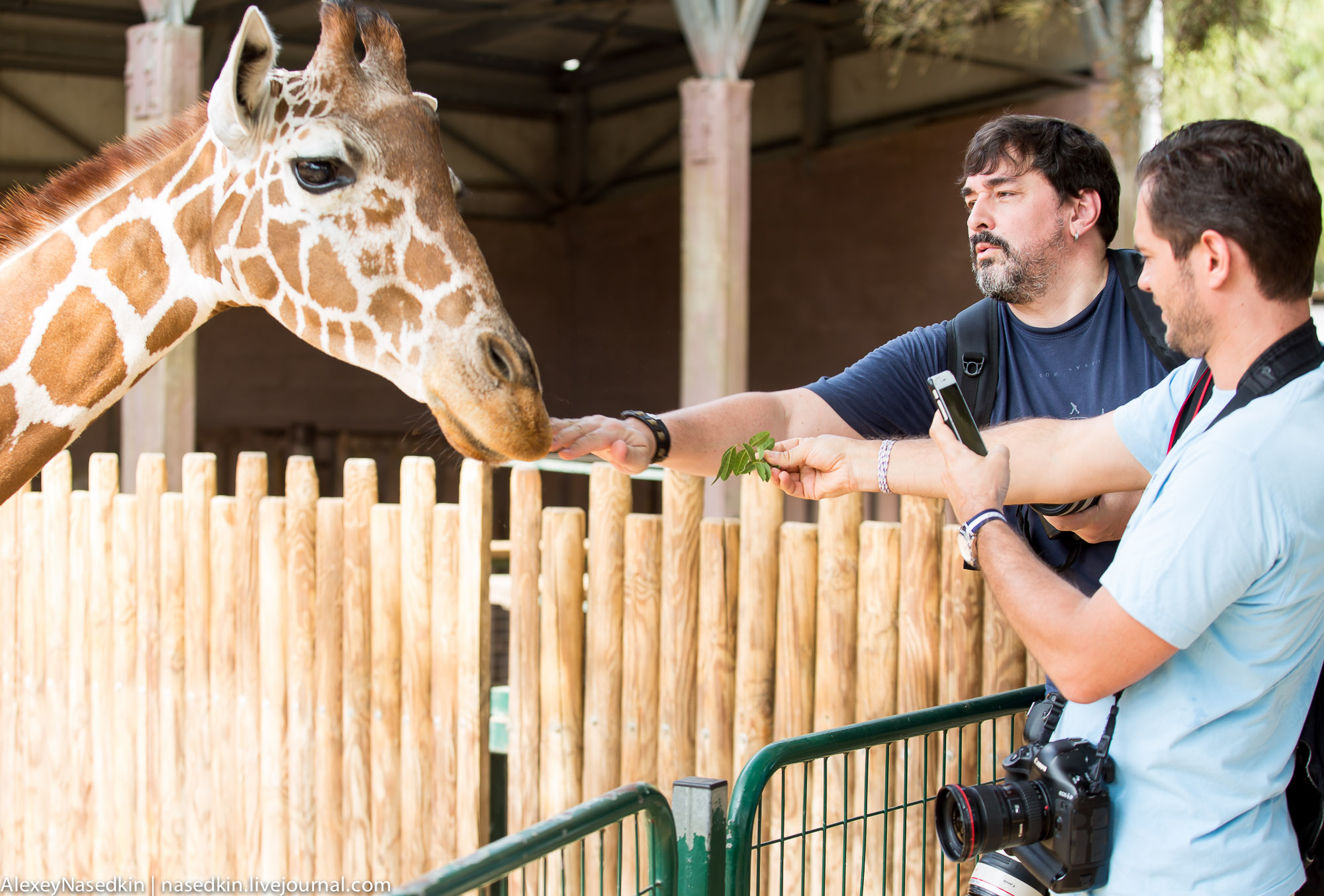 GA8A1931.jpg GA8A1931.jpg