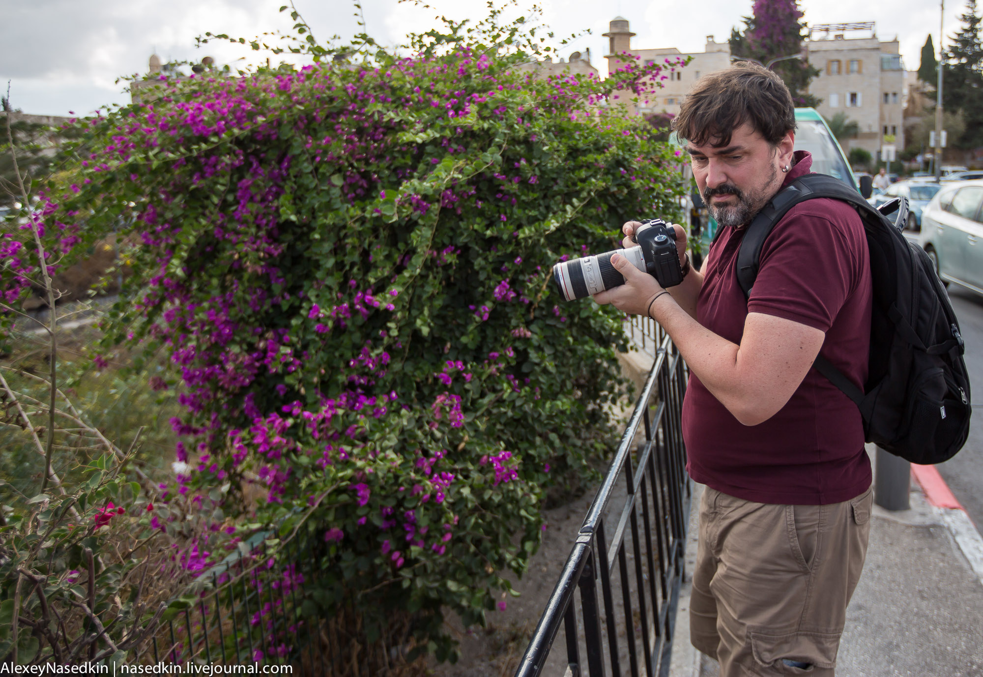 GA8A2283.jpg GA8A2283.jpg