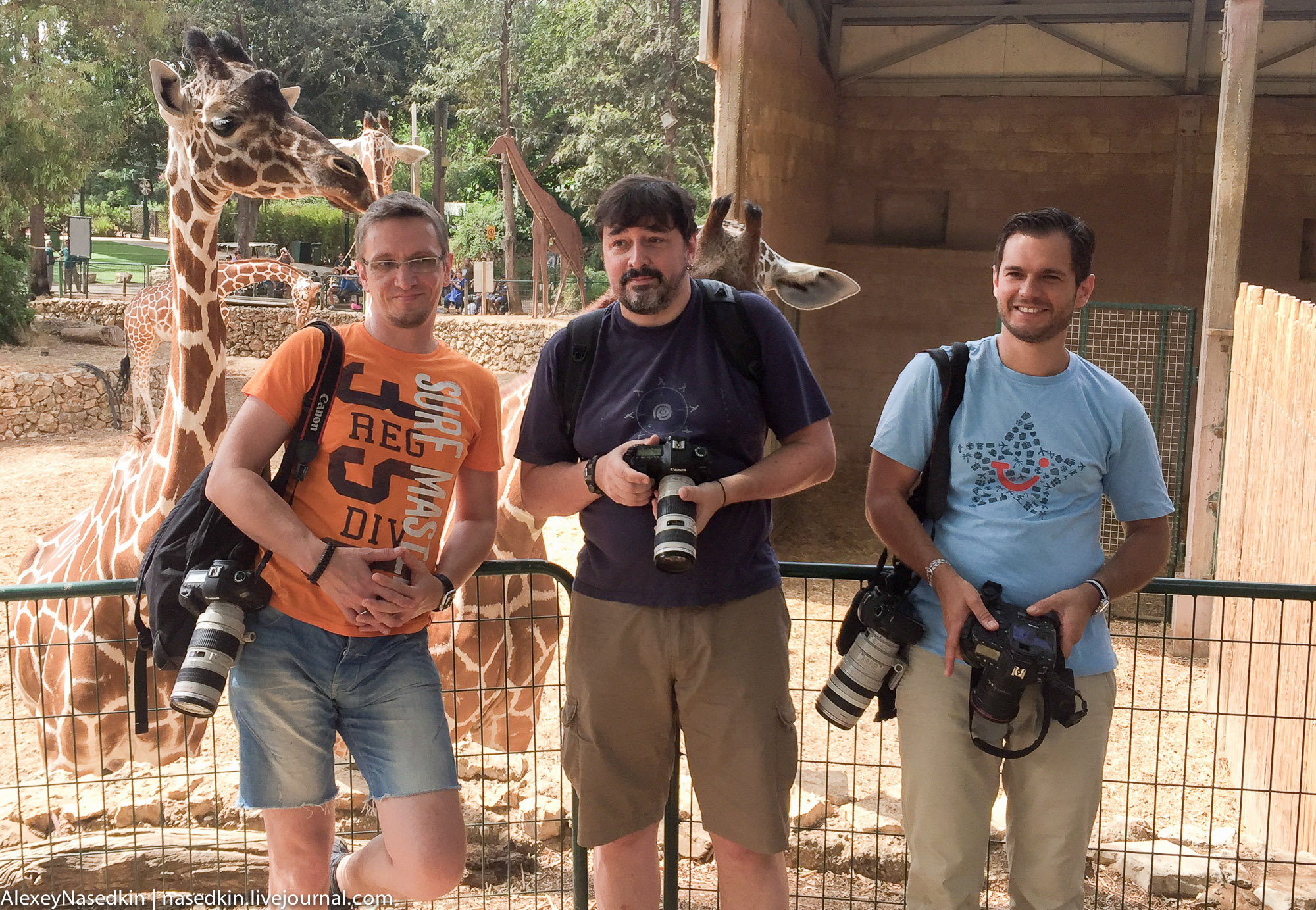 IMG_1268.jpg IMG_1268.jpg