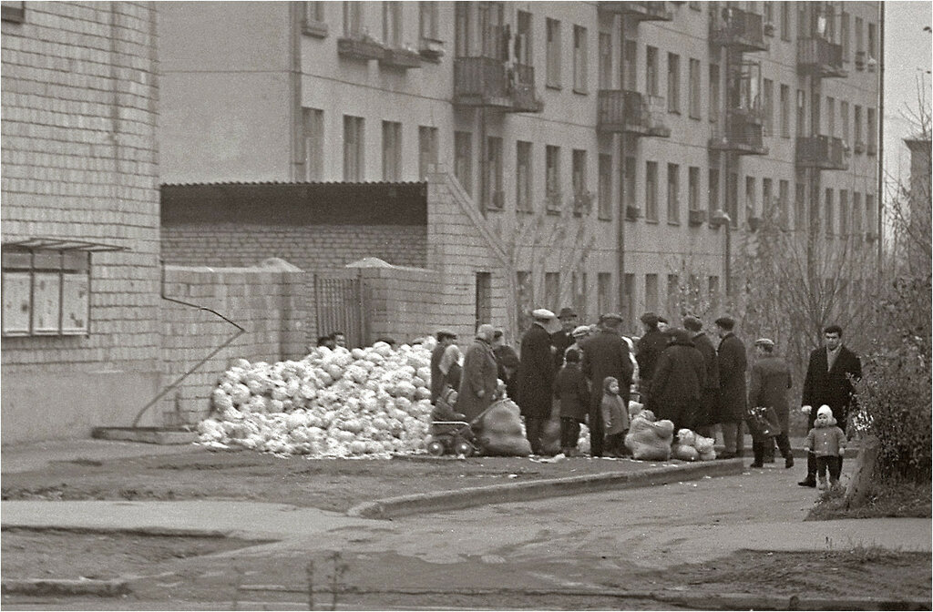 Москва, Измайлово, Сиреневый бульвар, Торговля капустой. 1967.jpg