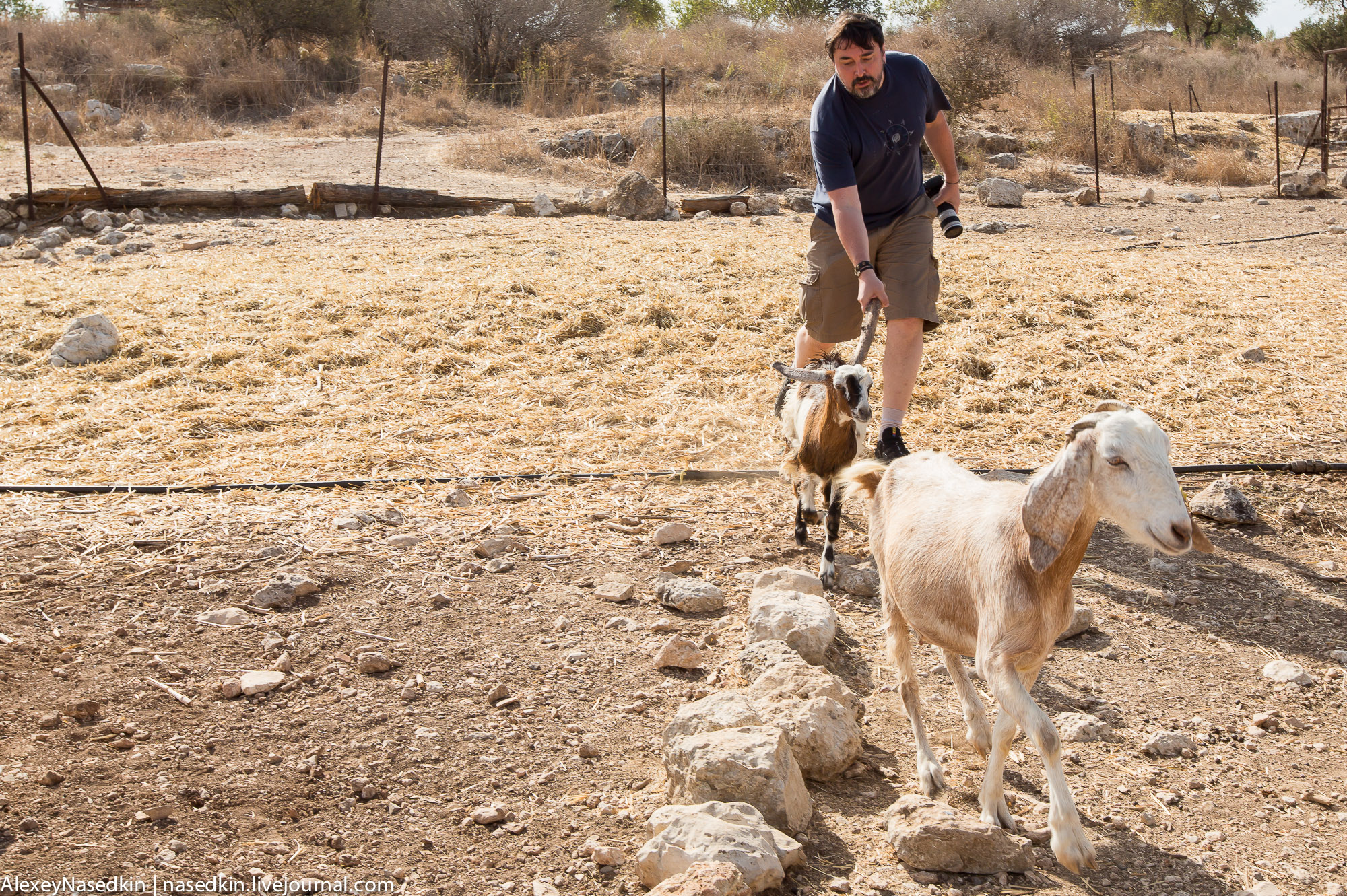 GA8A2505.jpg GA8A2505.jpg