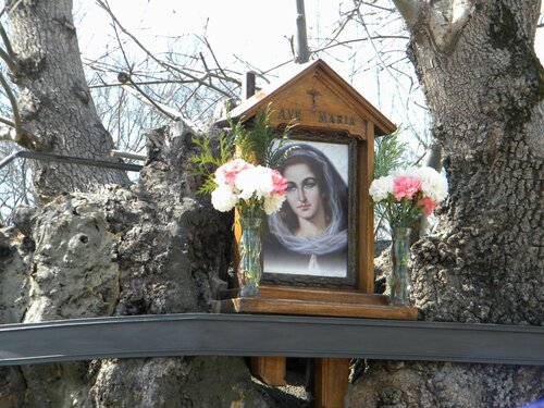 Прадо Нуево. Испания Прадо Нуево. Испания