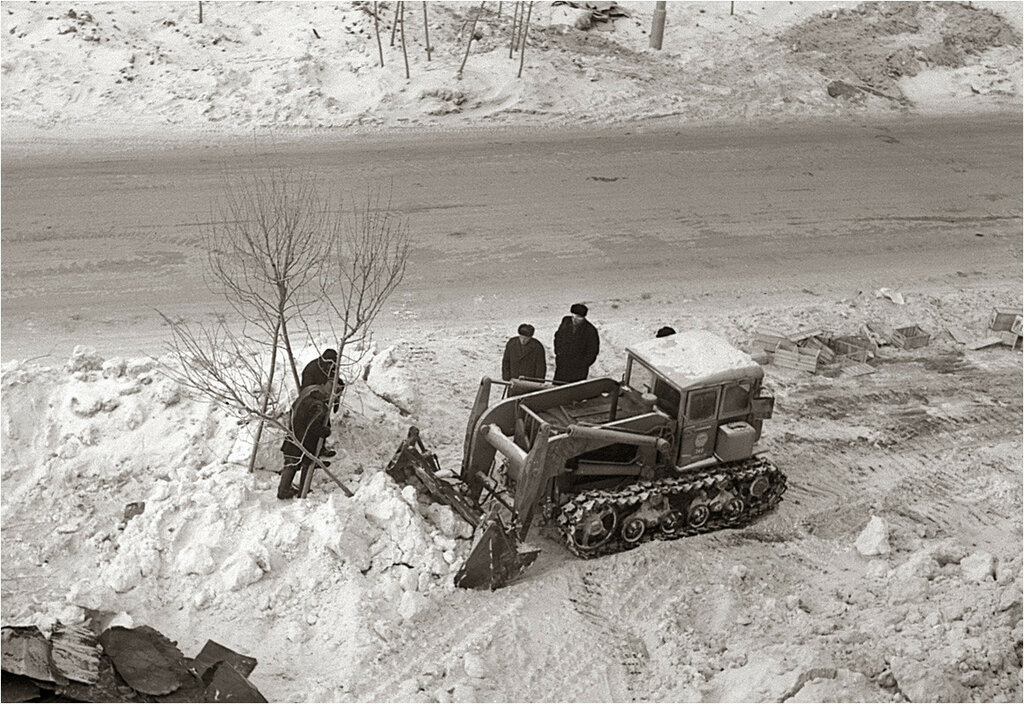 Измайлово. 9-я Парковая улица, дом 66. Зимняя посадка деревьев. 1967.jpg