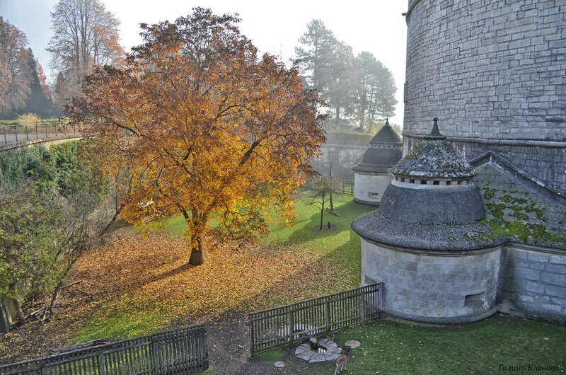 Осень в замке Мунот