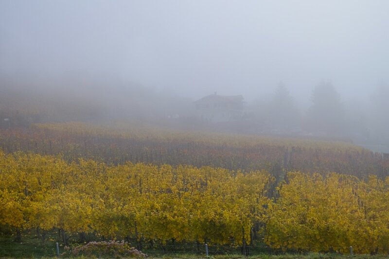 Осенний пейзаж
