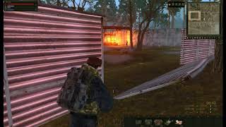 Stalker Online. Состязание - головы диких собак