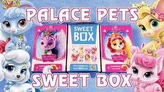 Королевские питомцы (Palace Pets) из коробочек Sweet Box
