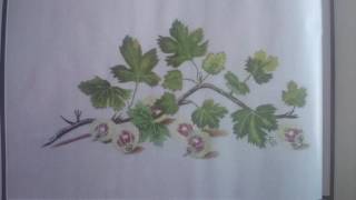 Журнал "Вышитые картины" 11/16 Обзор