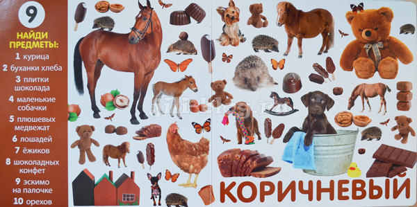 Учим цвета и числа Фото страниц Учим цвета и числа Фото разворота