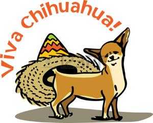 Какая порода собак родом из мексики папильон или чихуахуа, Какая порода собак родом из мексики папильон или чихуахуа